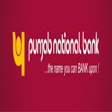 8.50% PUNJAB NATIONAL BANK-PERPETUAL